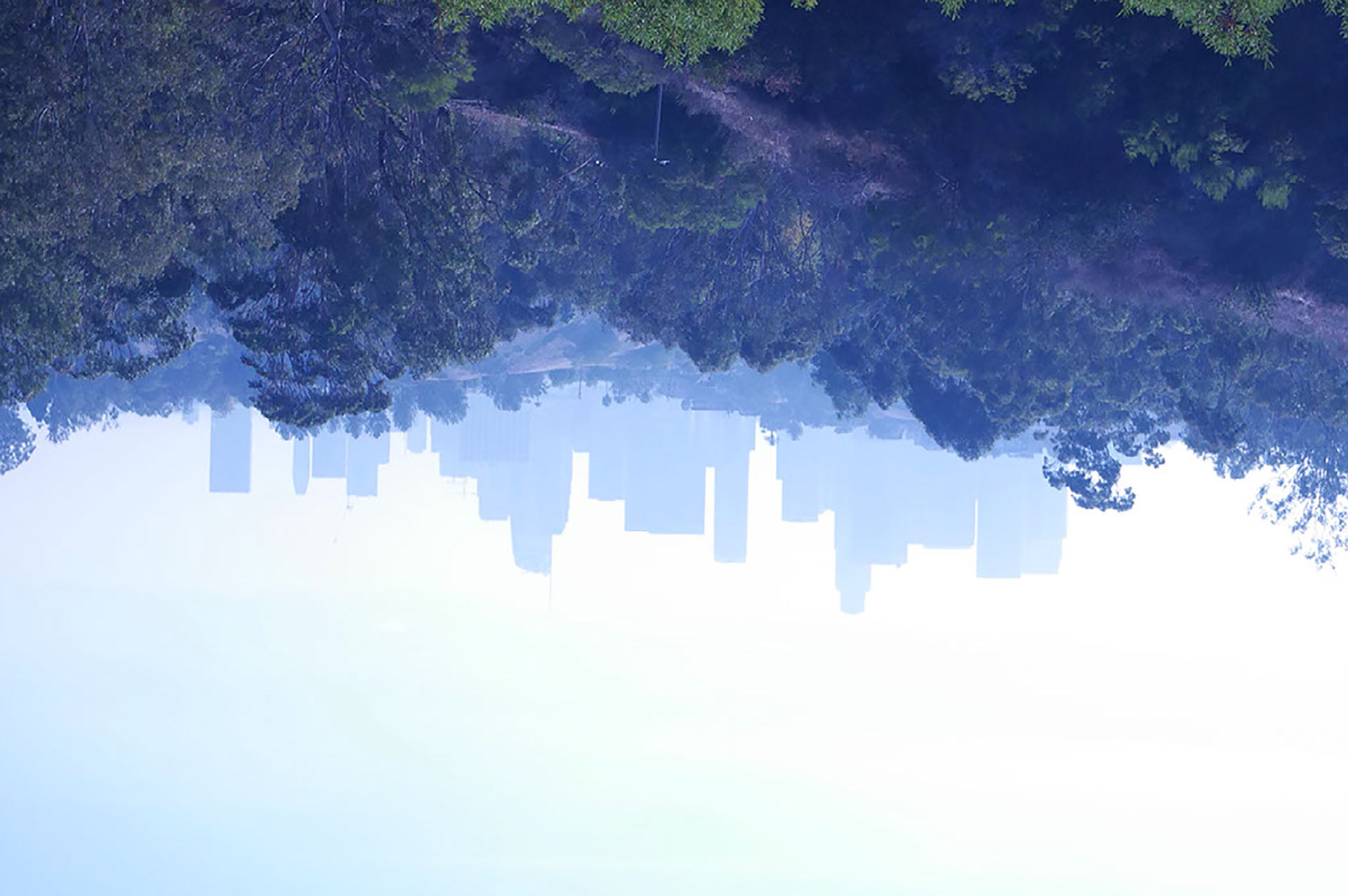 17-wordpress-featured-image-1920