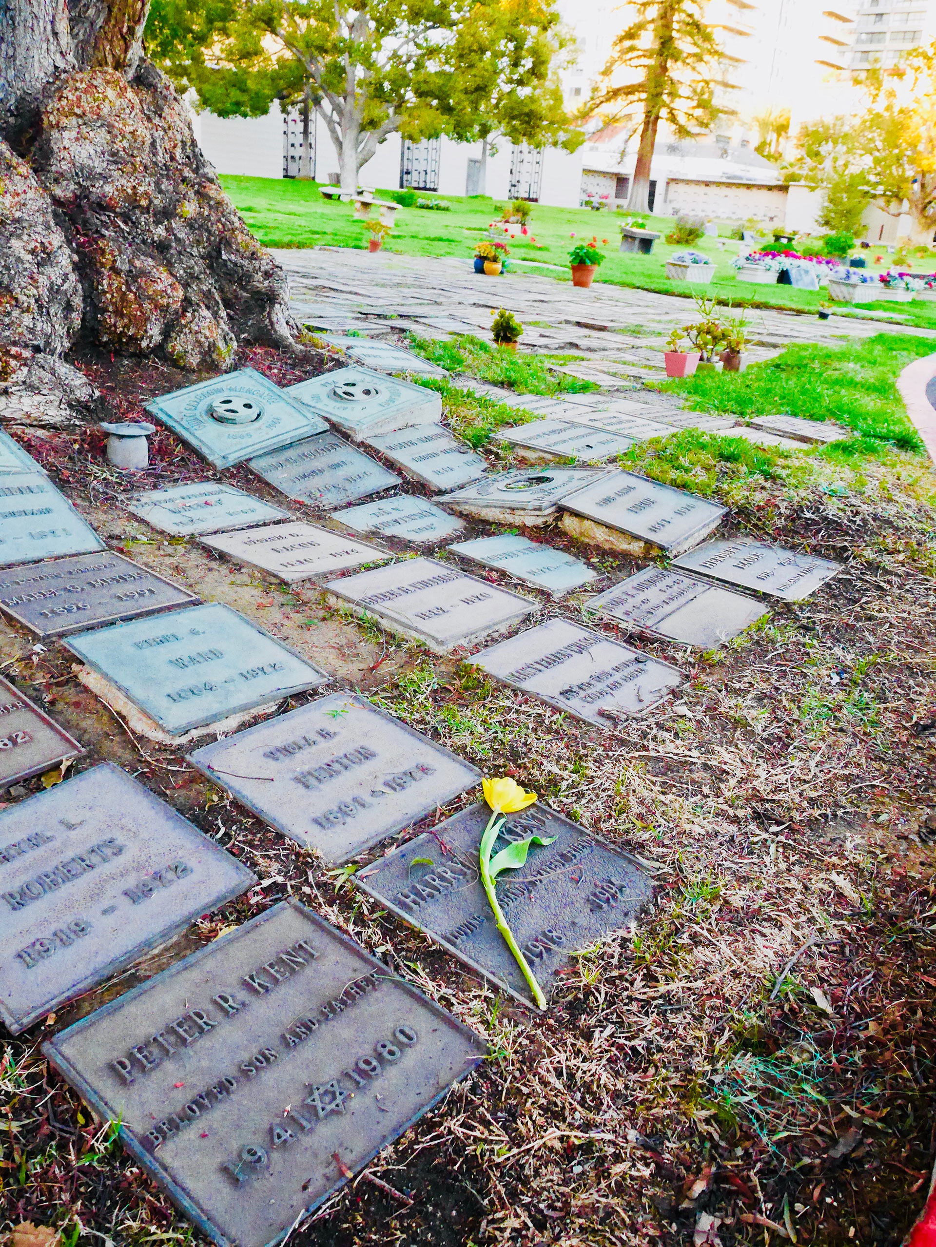 20-wordpress-featured-image-1920