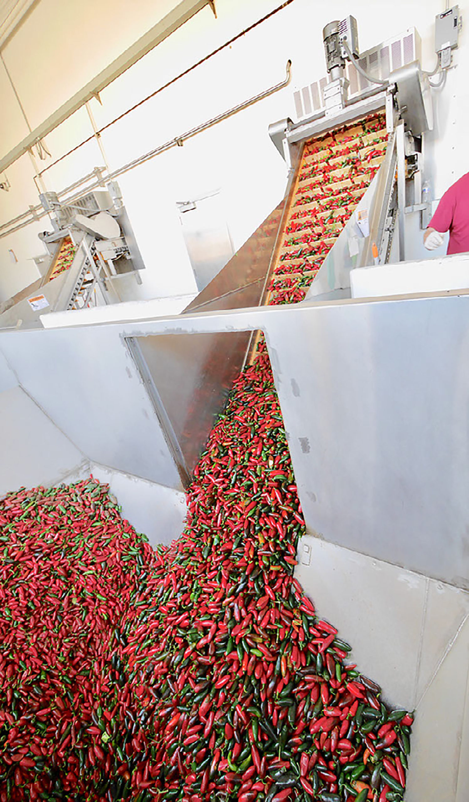 39-wordpress-featured-image-1920