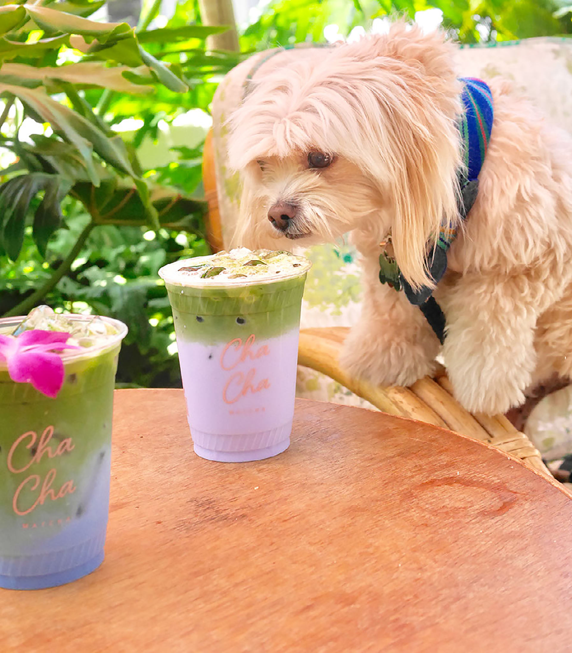 71-wordpress-featured-image-1920